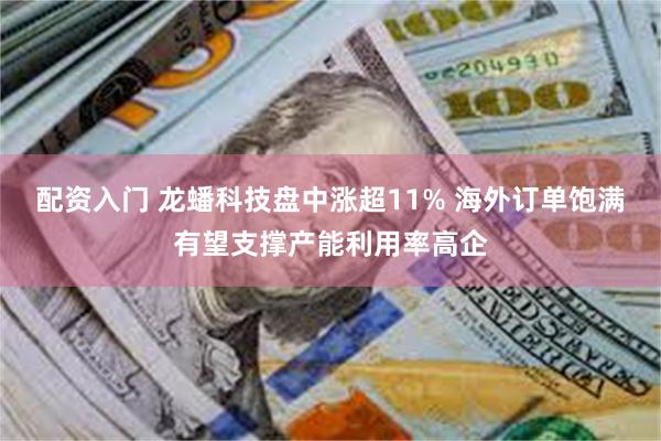 配资入门 龙蟠科技盘中涨超11% 海外订单饱满有望支撑产能利用率高企