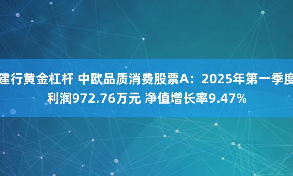 建行黄金杠杆 中欧品质消费股票A：2025年第一季度利润972.76万元 净值增长率9.47%