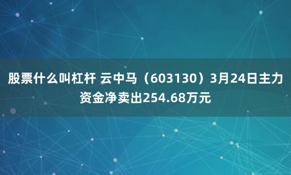 股票什么叫杠杆 云中马（603130）3月24日主力资金净卖出254.68万元