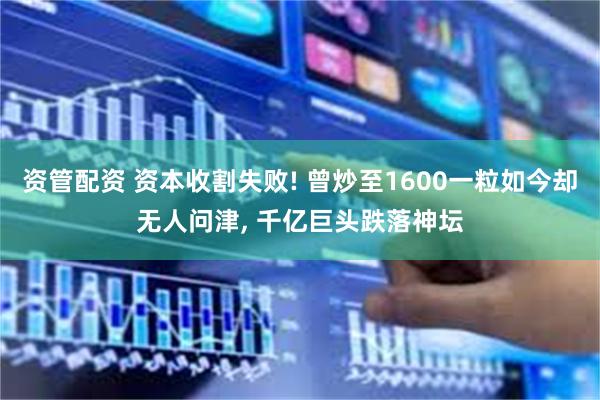 资管配资 资本收割失败! 曾炒至1600一粒如今却无人问津, 千亿巨头跌落神坛