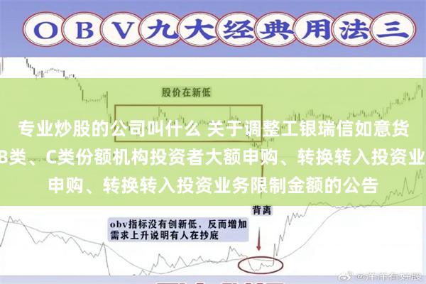 专业炒股的公司叫什么 关于调整工银瑞信如意货币市场基金A类、B类、C类份额机构投资者大额申购、转换转入投资业务限制金额的公告