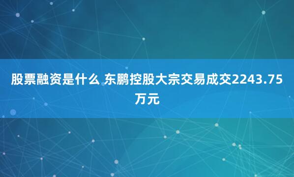 股票融资是什么 东鹏控股大宗交易成交2243.75万元