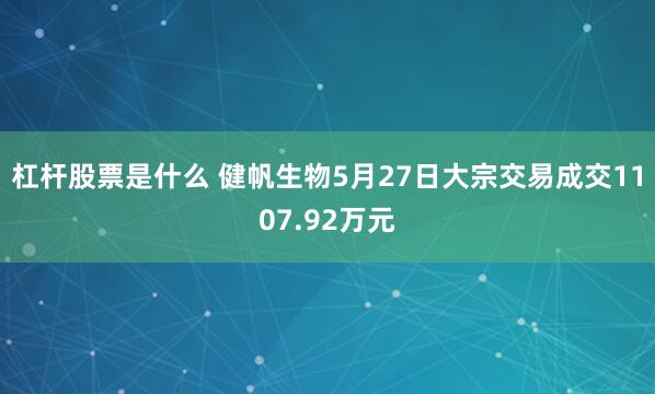 杠杆股票是什么 健帆生物5月27日大宗交易成交1107.92万元