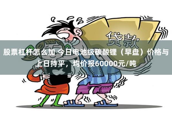 股票杠杆怎么加 今日电池级碳酸锂（早盘）价格与上日持平，均价报60000元/吨